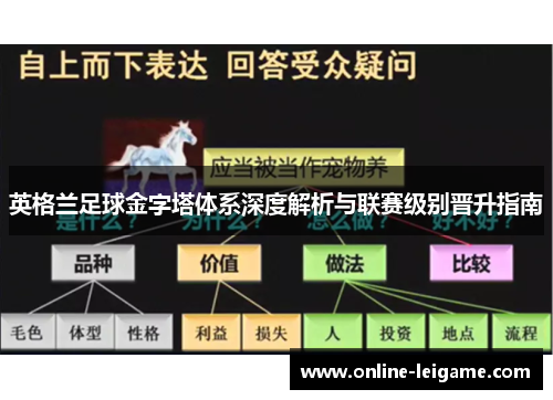 英格兰足球金字塔体系深度解析与联赛级别晋升指南